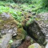 eco_lutu_rosu_94_20130612_1795445871