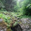 eco_lutu_rosu_95_20130612_1844811004