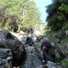 eco_lutu_rosu_9_20130612_1782778491