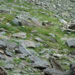 fagaras(11)