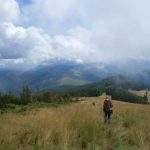 fagaras(15)