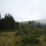 fagaras(25)