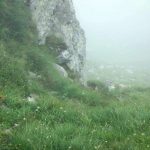 fagaras(41)