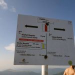 fagaras(49)