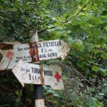 fagaras(55)