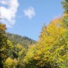 let-s_do_it_2_20131008_1072590589