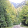 let-s_do_it_34_20131008_1444582780