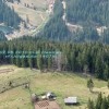 m-tii_hasmas_vf_ucigasul_1407m_02052010_20101024_2011620651
