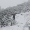 m1_20110202_1234829626