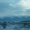 n_6_20110207_1218019513