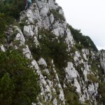piatra craiului(10)