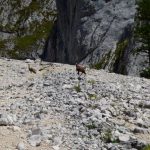 piatra craiului(31)