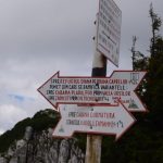 piatra craiului(6)