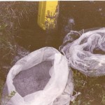 scan00290