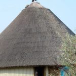 sfantu gheorghe(24)