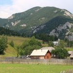 trofeul hasmas(63)